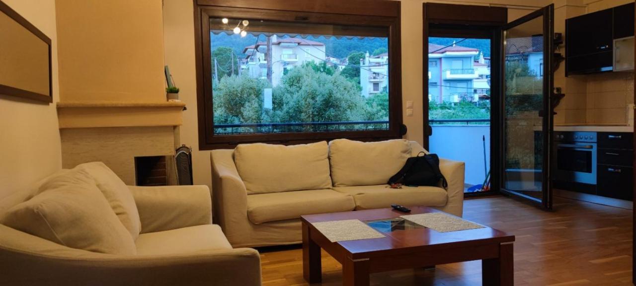 Luxury Apartment Olympus Mountain View 里托楚伦 外观 照片